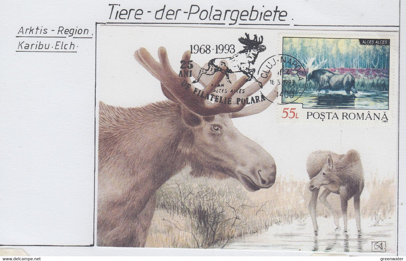 Romania  1993 Moose 1v Maxicard (AN170) - Faune Arctique