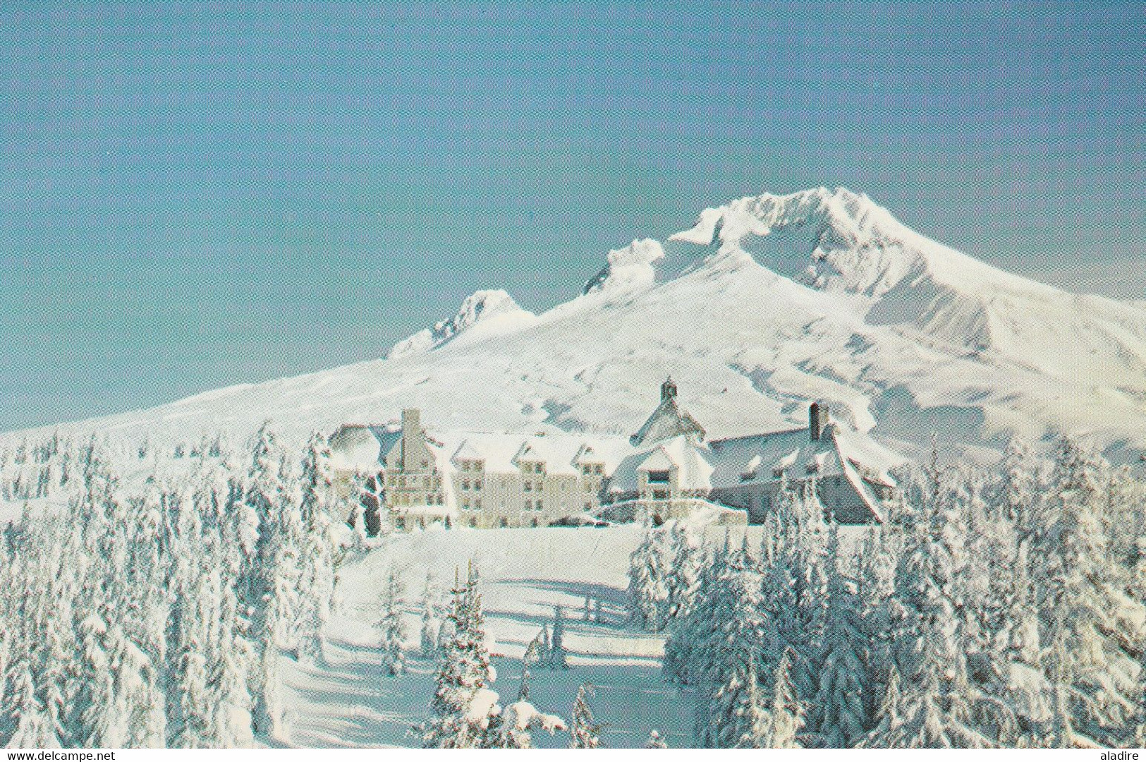 MOUNT HOOD And TIMBER LODGE, OREGON  - Plastichrome - Smith Western - Salem