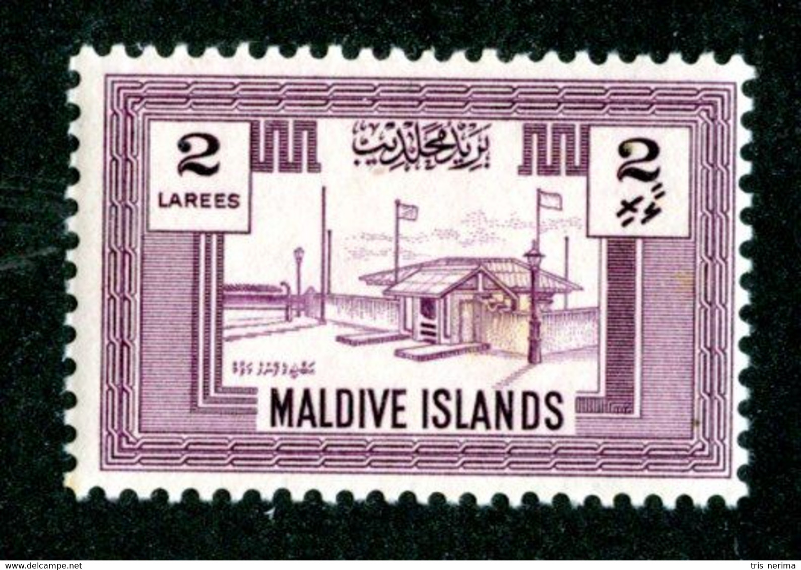 459 BCx  Maldives 1960 Scott.58 Mnh** ( All Offers 20% Off! ) - Maldive (...-1965)