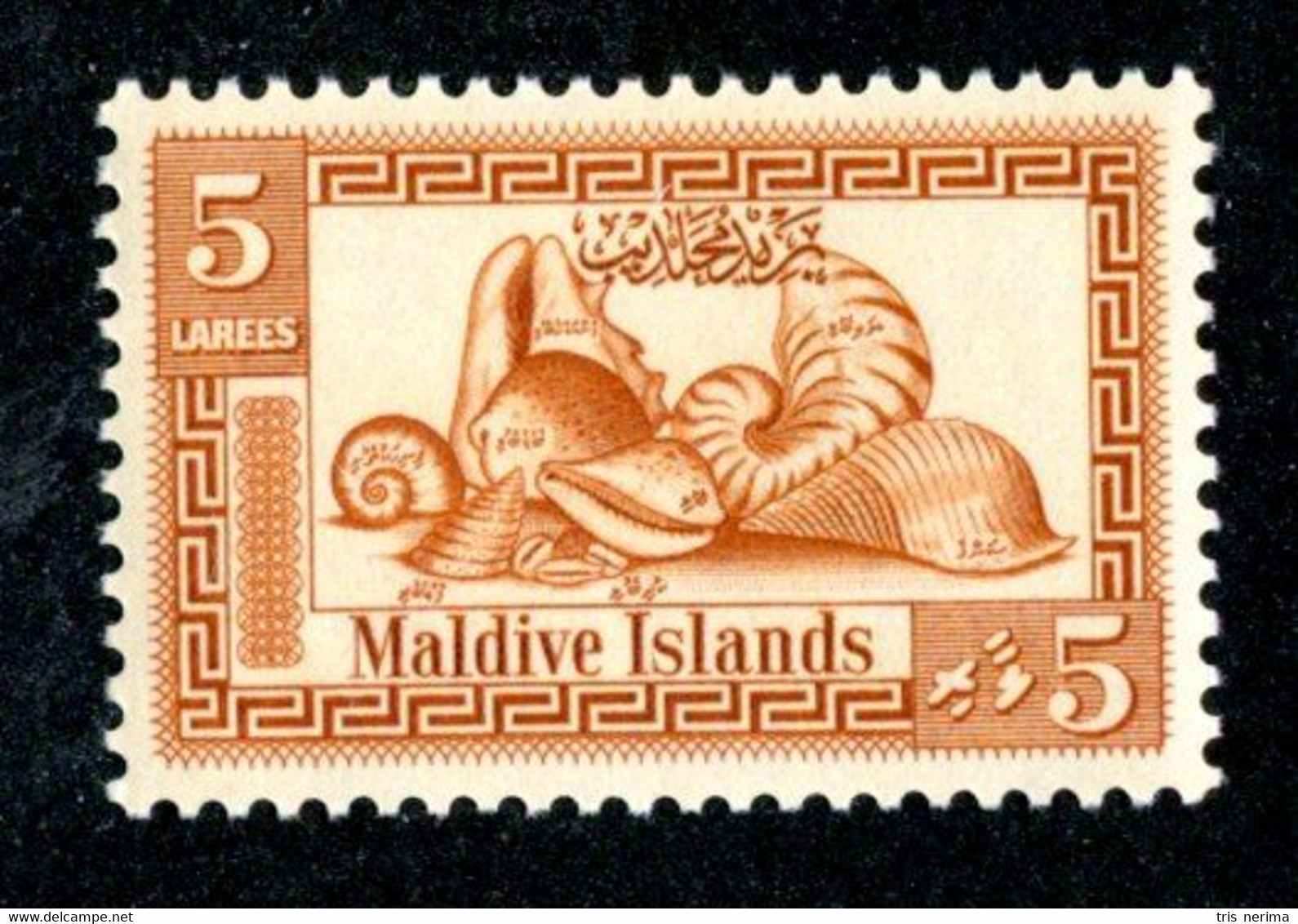 460 BCx  Maldives 1960 Scott.60 Mnh** ( All Offers 20% Off! ) - Maldives (...-1965)