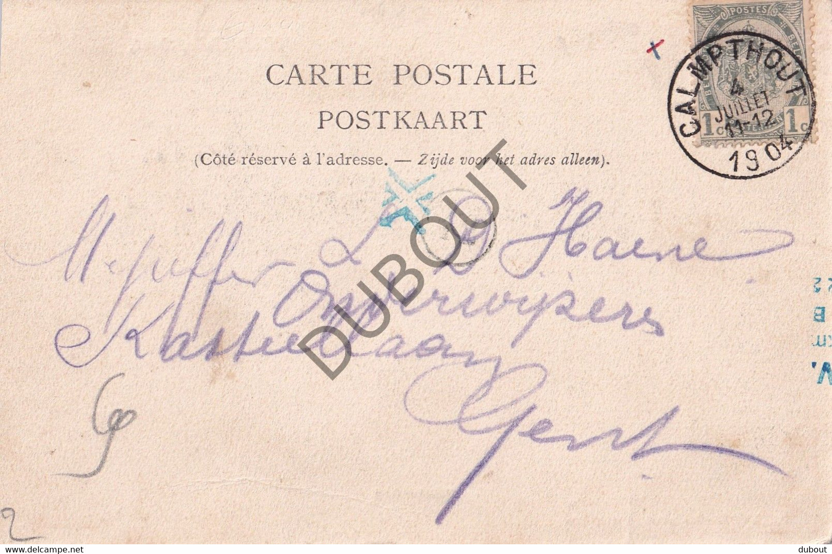 Postkaart/Carte Postale - Heide-Kalmthout - Diesterweg  (C3743) - Kalmthout