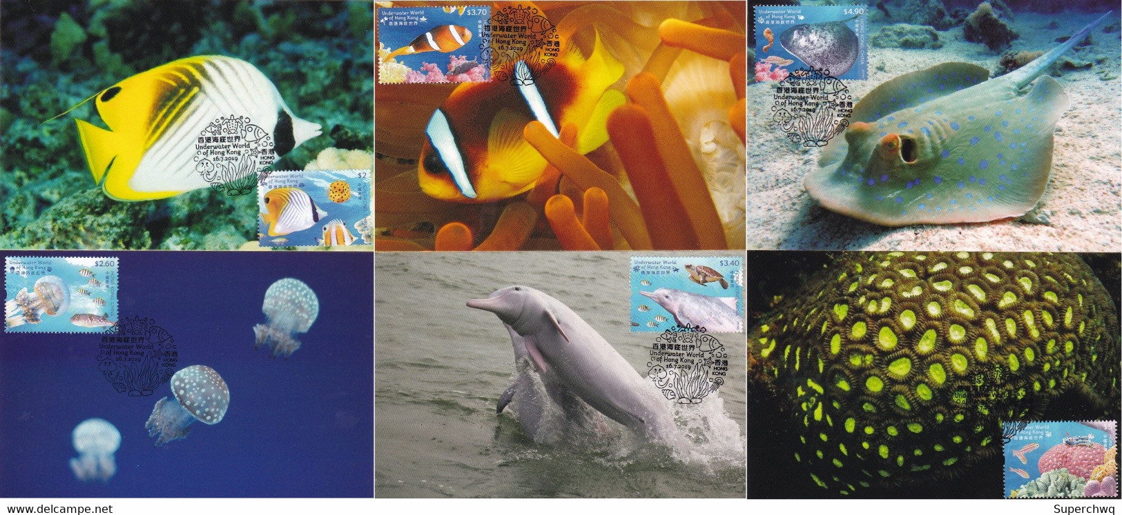 China Hong Kong Maximum Card，2019 Marine Animals In The Undersea World，6 Pcs - Maximumkaarten
