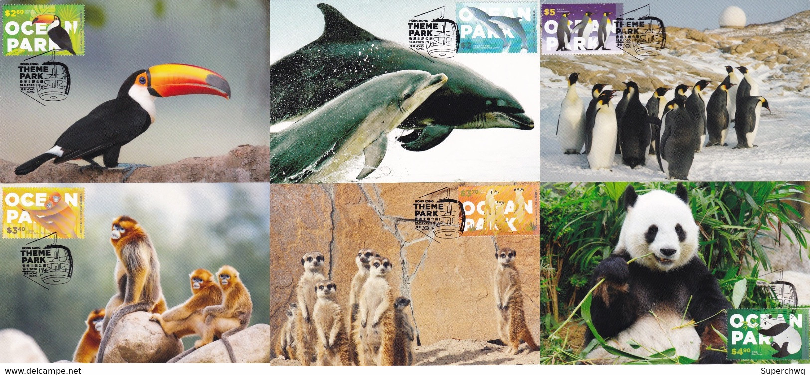 China Hong Kong Maximum Card，2020 Hong Kong Ocean Park Protected Animals，6 Pcs - Cartoline Maximum