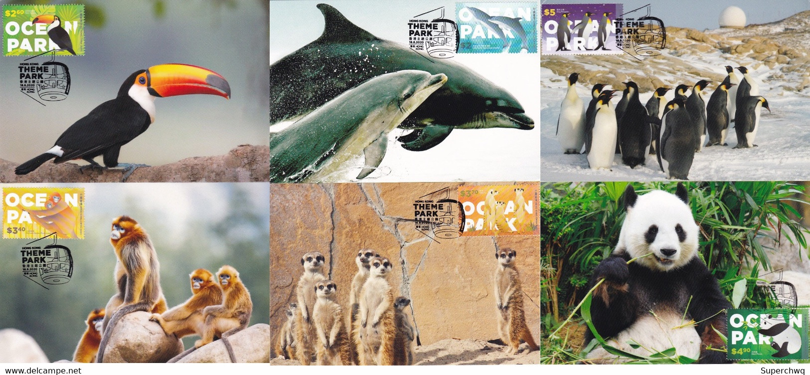 China Hong Kong Maximum Card，2020 Hong Kong Ocean Park Protected Animals，6 Pcs - Maximumkaarten