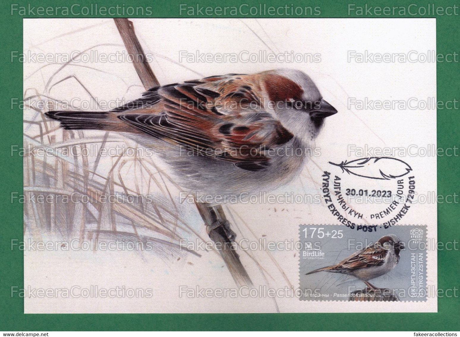 KYRGYZSTAN 2023 KEP - Bird Of The Year (IV) 2022 - HOUSE SPARROW 1v Official Maxim Card - Unused - Birds, Sparrows .. - Cernícalo