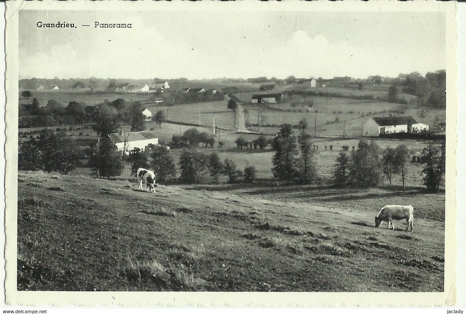 Grandrieu -- Panorama.    (2 Scans) - Sivry-Rance