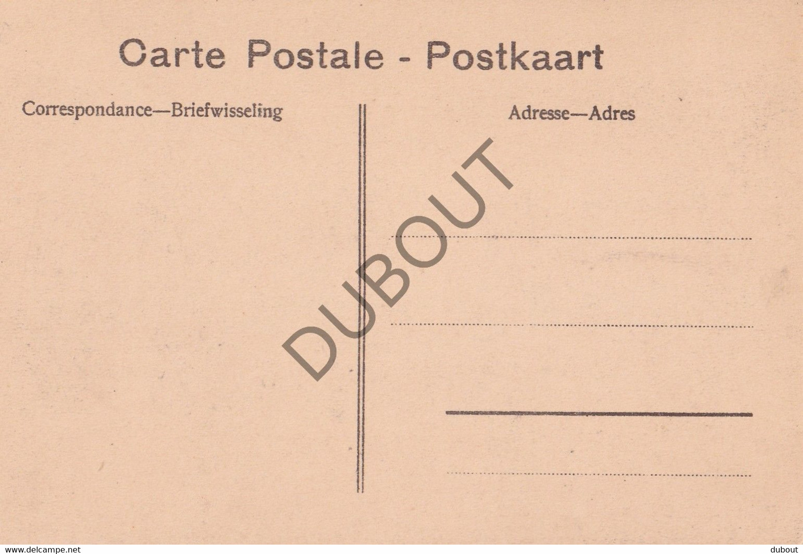 Postkaart/Carte Postale - Heide-Kalmthout - Diesterweg's Schoolvilla  (C3772) - Kalmthout