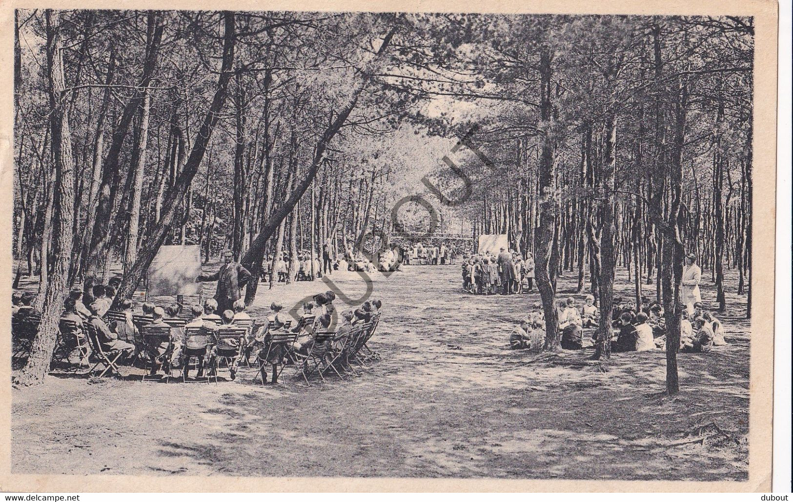 Postkaart/Carte Postale - Heide-Kalmthout - Diesterweg's Openluchtschool  (C3718) - Kalmthout