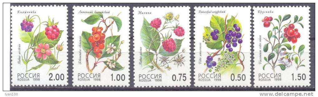 1998. Russia, Wild Berries, 5v Mint/** - Ongebruikt