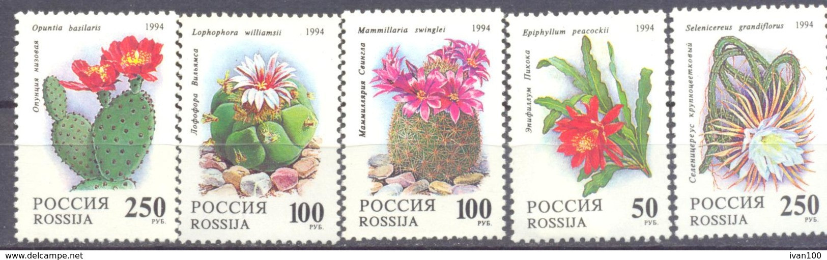 1994. Russia, Flowers, Cactuses, 5v Mint/** - Ongebruikt