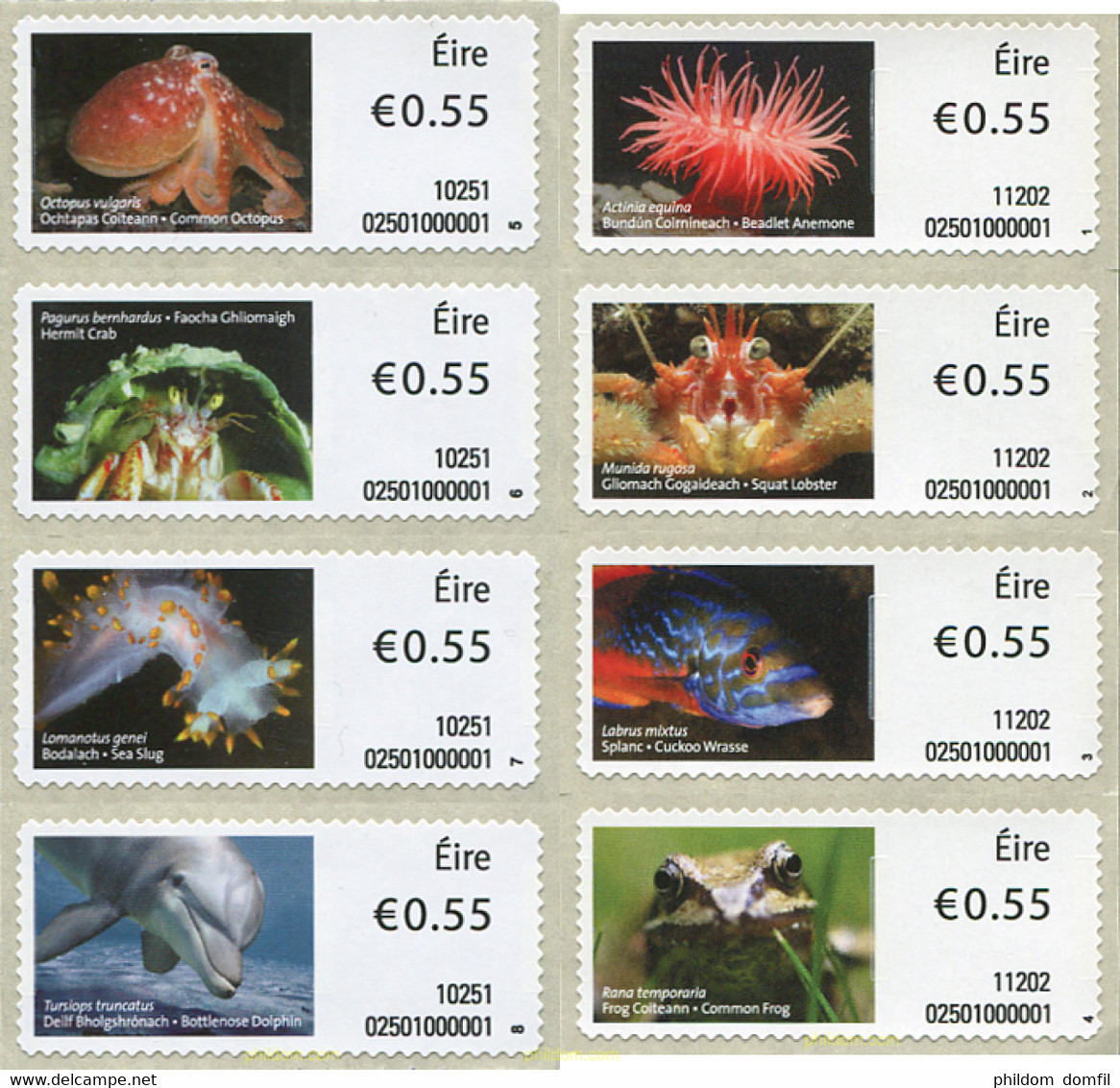 327499 MNH IRLANDA 2010 FAUNA - Collections, Lots & Series