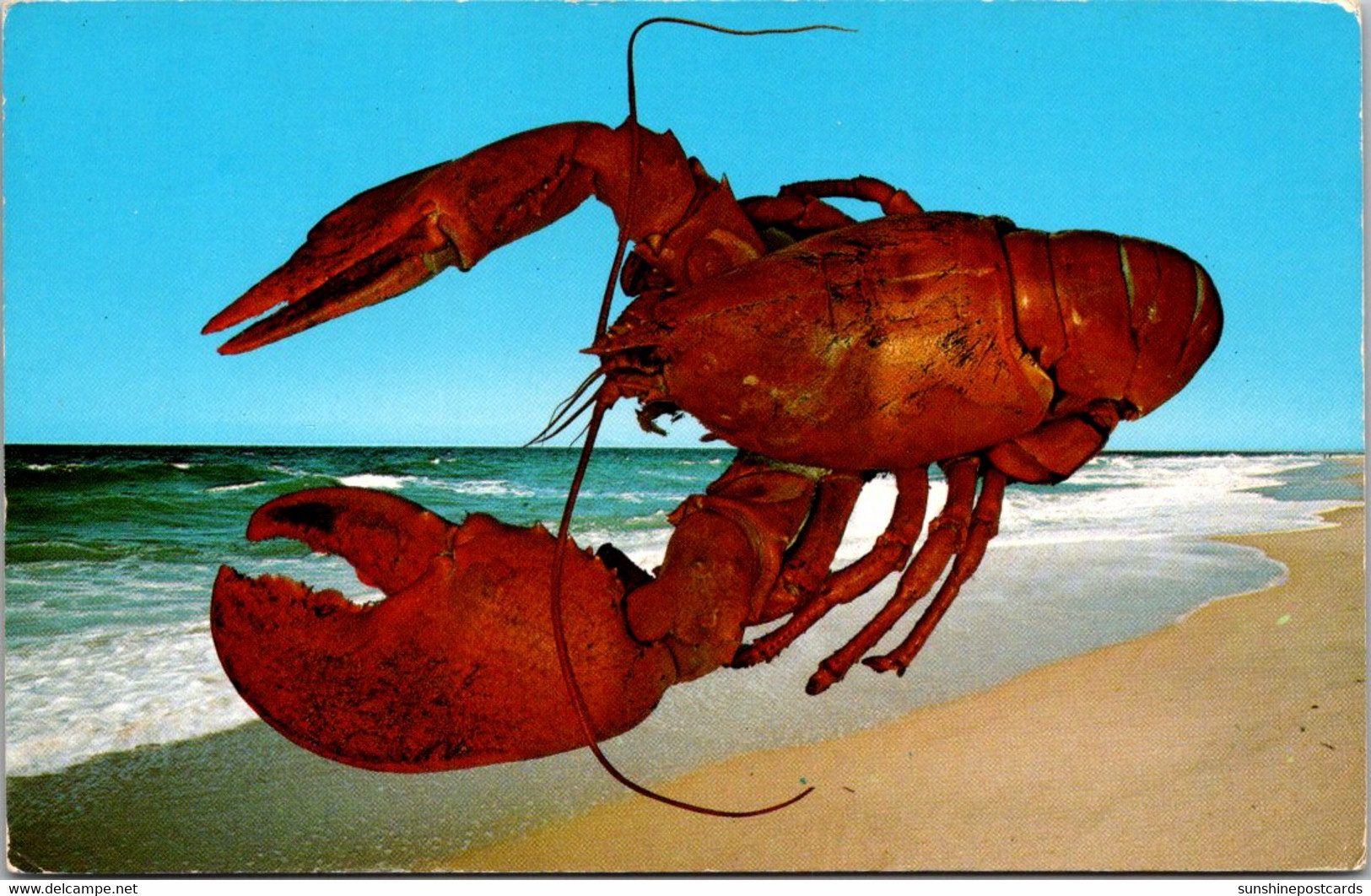 Massachusetts Cape Cod Large Lobster Beach Scene 1972 - Cape Cod