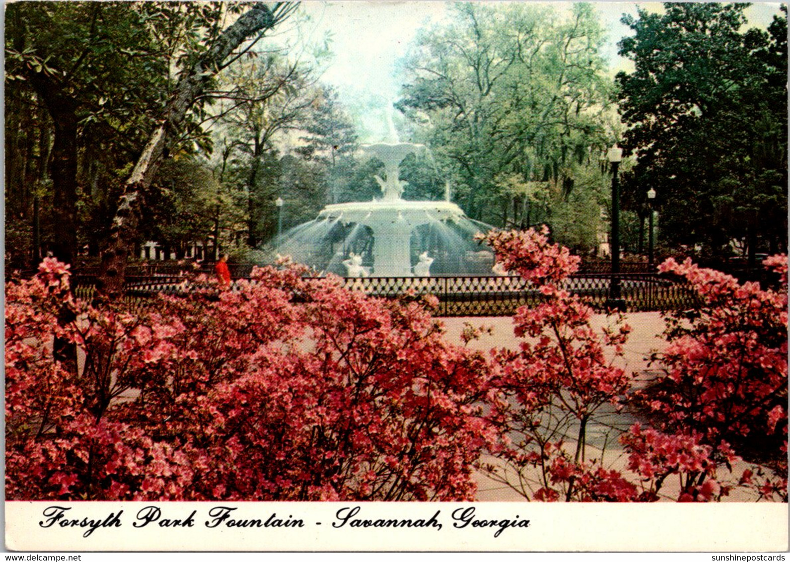 Georgia Savannah Forsyth Park Fountain - Savannah