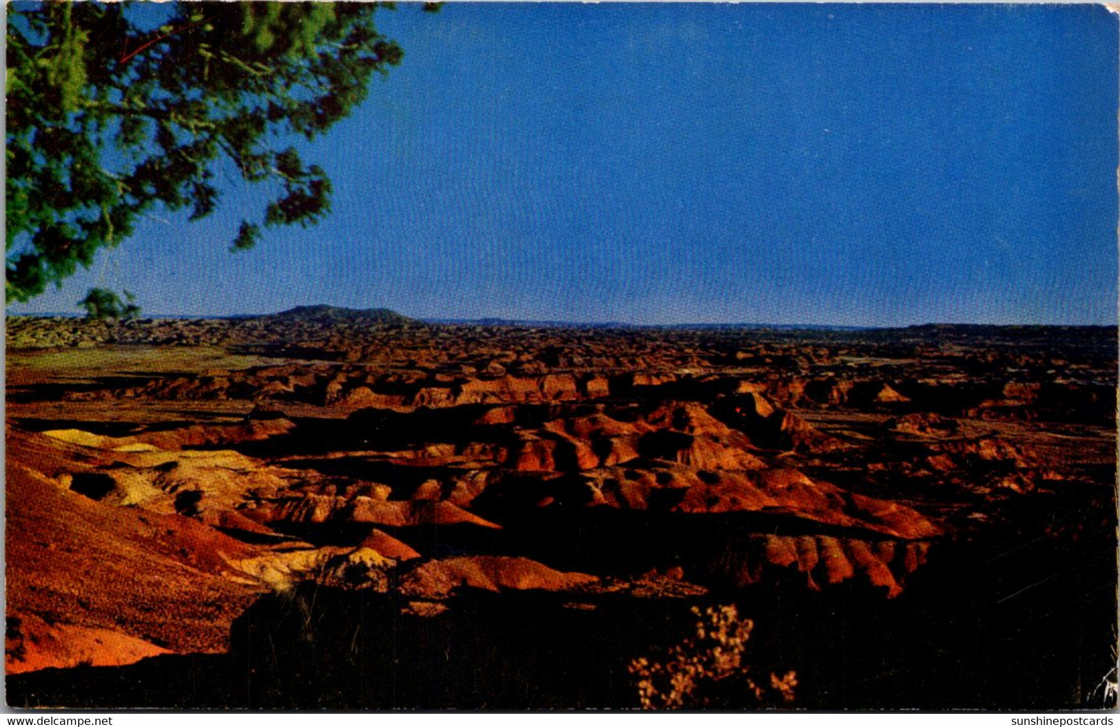 Arizona Phoenix The Painted Desert - Phönix
