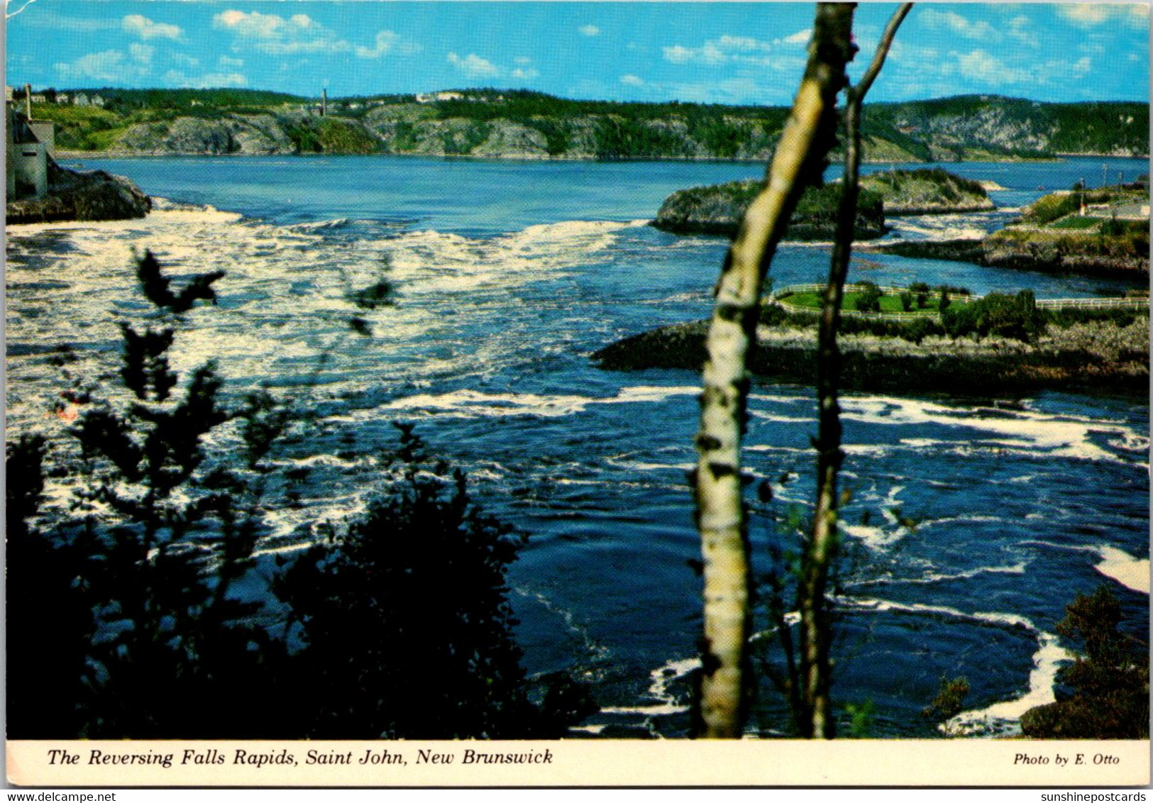 Canada Saint John The Reversing Falls Rapids - St. John