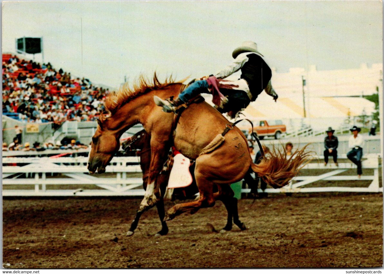 Canada Calgary Stampede And Exhibition Rodeo Scene Bronco Busting - Calgary