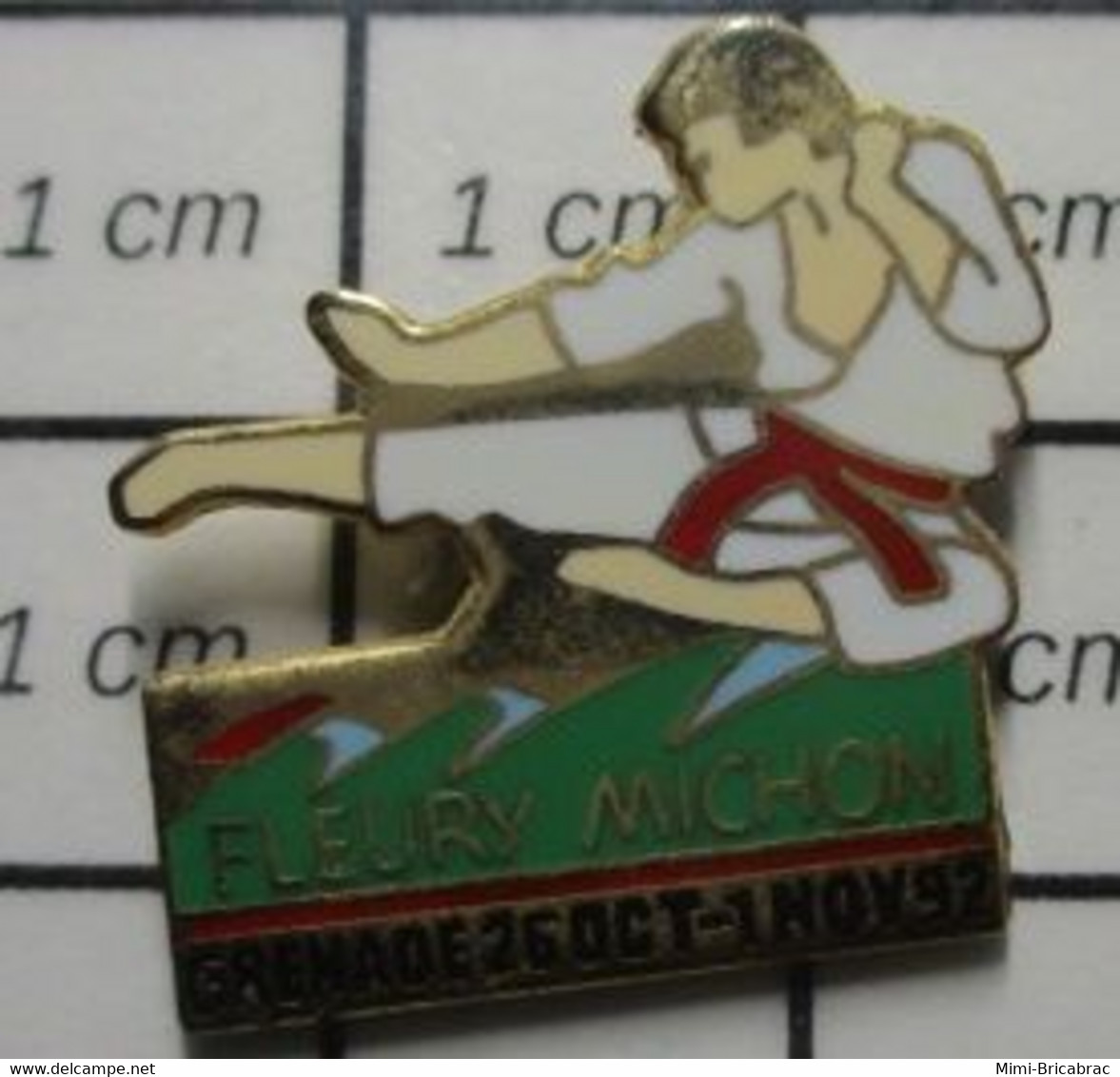 710F Pin's Pins / Beau Et Rare / SPORTS / 1992 GRENADE CHAMPIONNAT DU MONDE JUDO KARATE FLEURY MICHON - Judo