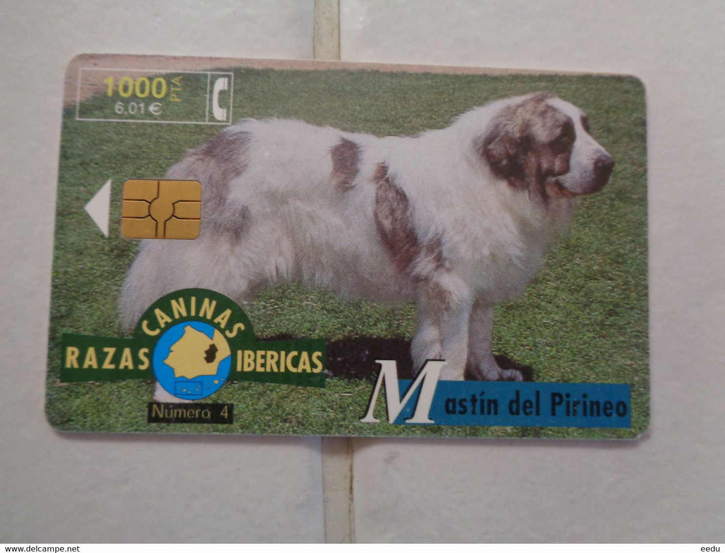 Spain Phonecard - Sonstige & Ohne Zuordnung