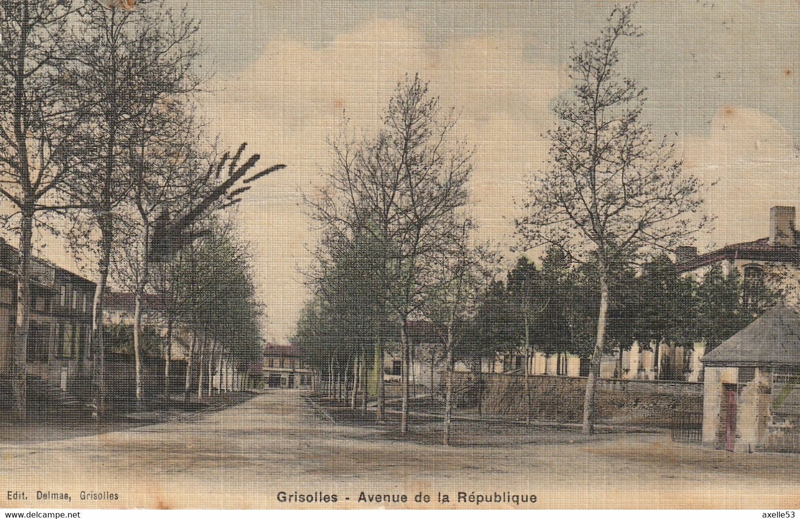 Grisolles 82 (7867) Avenue De La République, Cp Toilée - Grisolles
