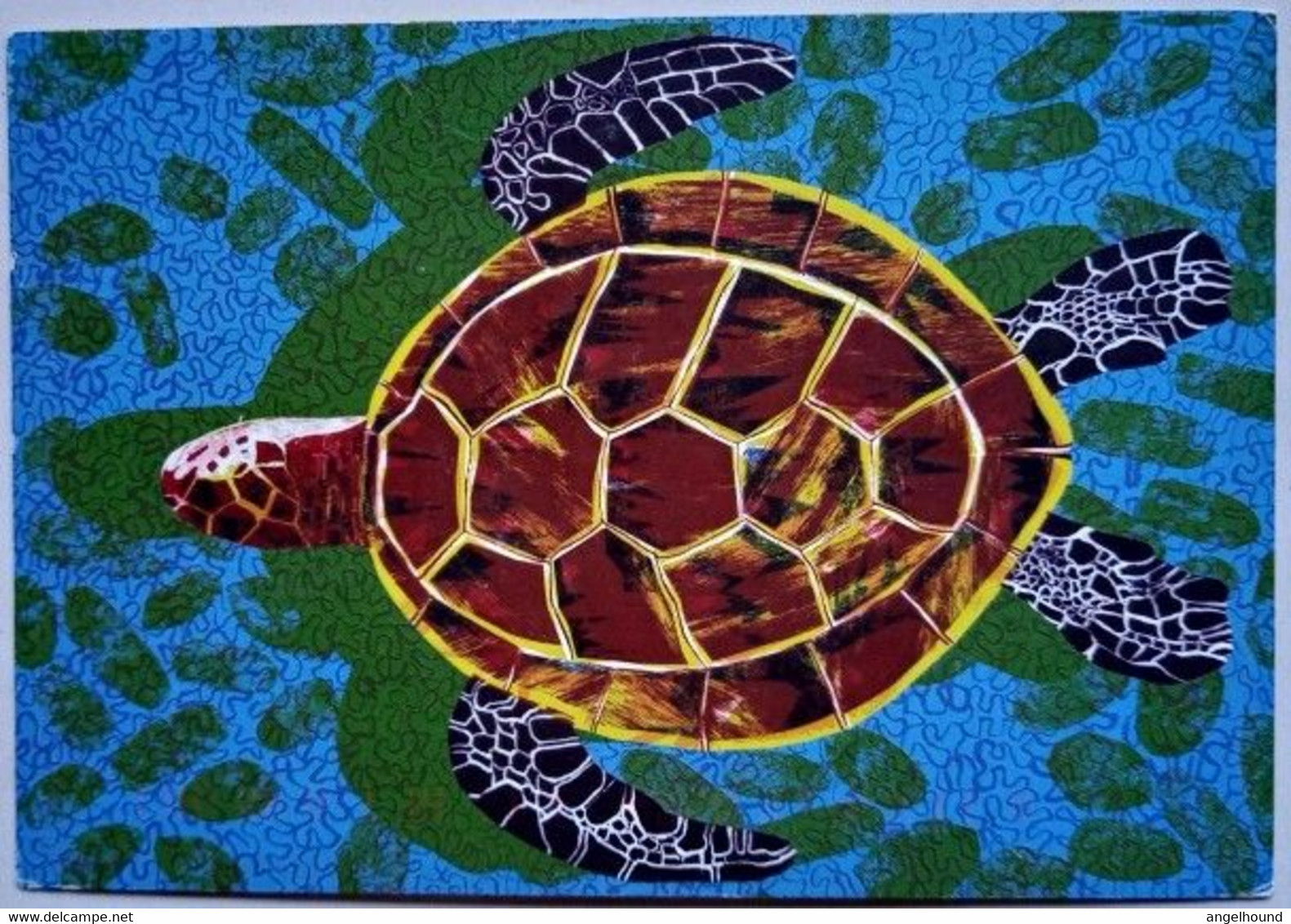 Turtle - Schildpadden