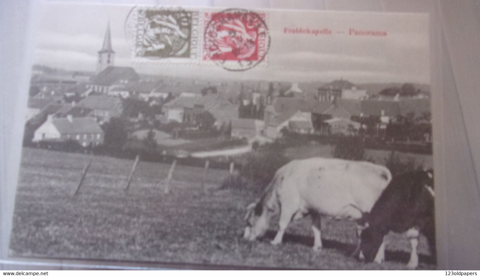 BELGIQUE BELGIUM FROIDCHAPELLE PANORAMA  VACHES TIMBRE - Froidchapelle