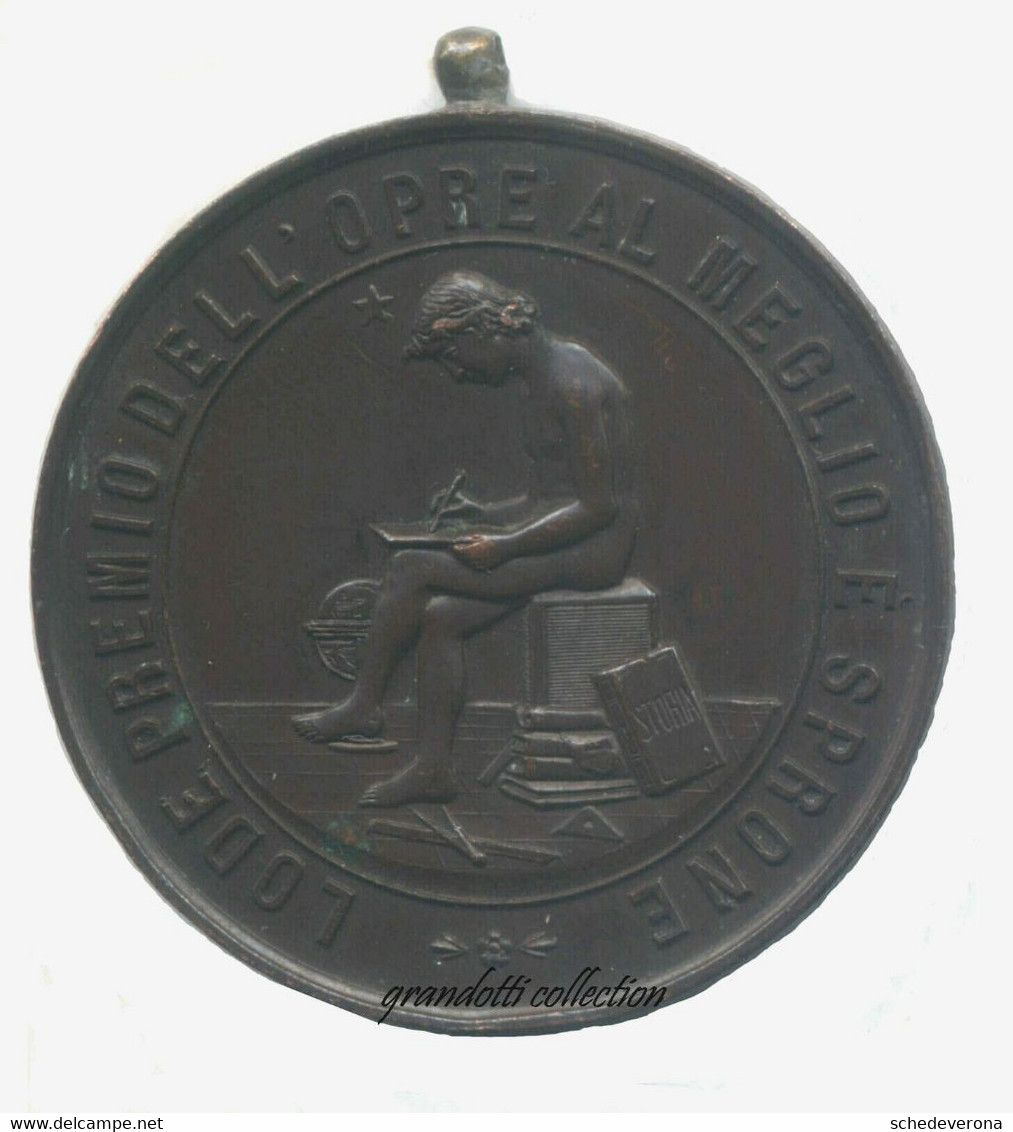 ERNESTO NOSOTTI LODE PREMIO 1884 MEDAGLIA ANGELA E TITO SPERI BRESCIA - Professionals/Firms