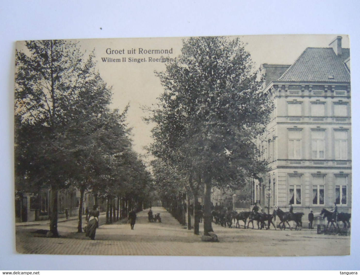 Groet Uit Roermond Willem II Singel Edit H.S.P.Roermond Gelopen 1913 - Roermond