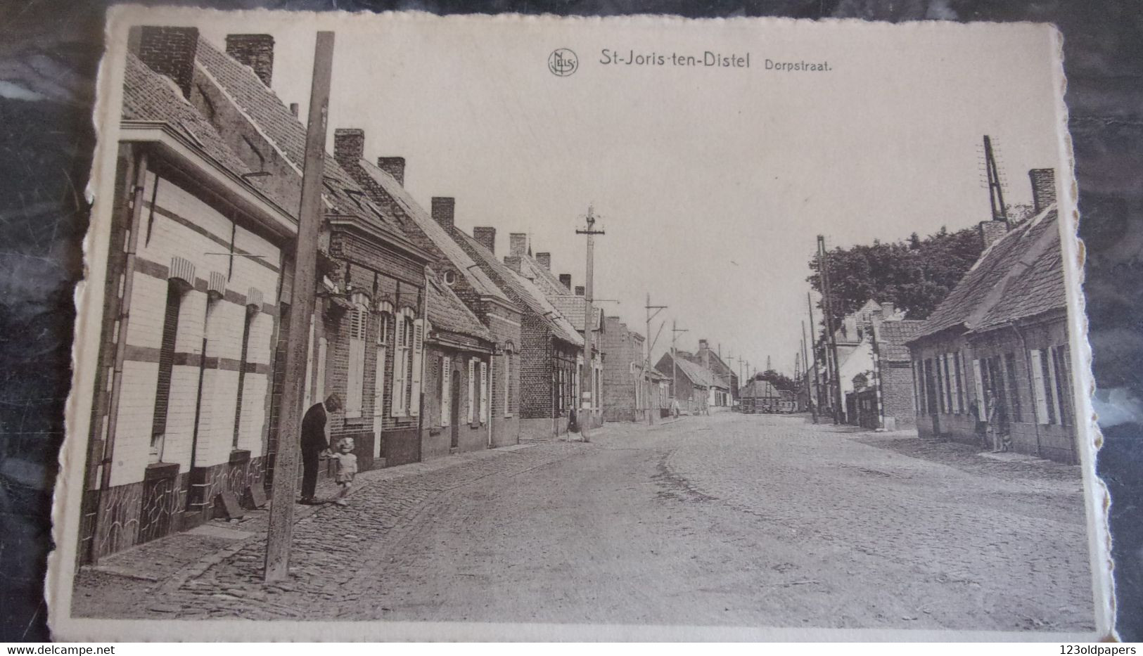 BELGIQUE  St. Joris Ten Distel DORPSTRAAT - Sonstige & Ohne Zuordnung