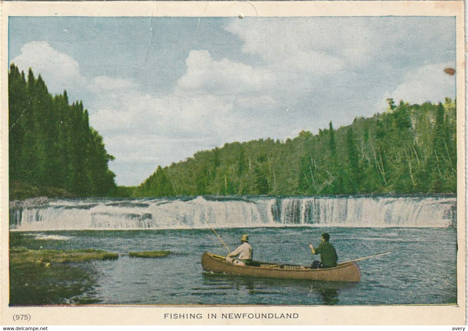 Folkard Fishing In Newfoundland - St. John's