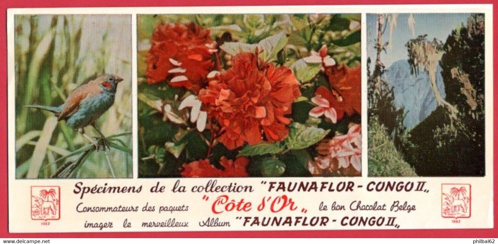 Buvard Chocolat Côte D'Or. Illustration : Photos Spécimens De La Collection Faunaflor-Congo II - Kakao & Schokolade