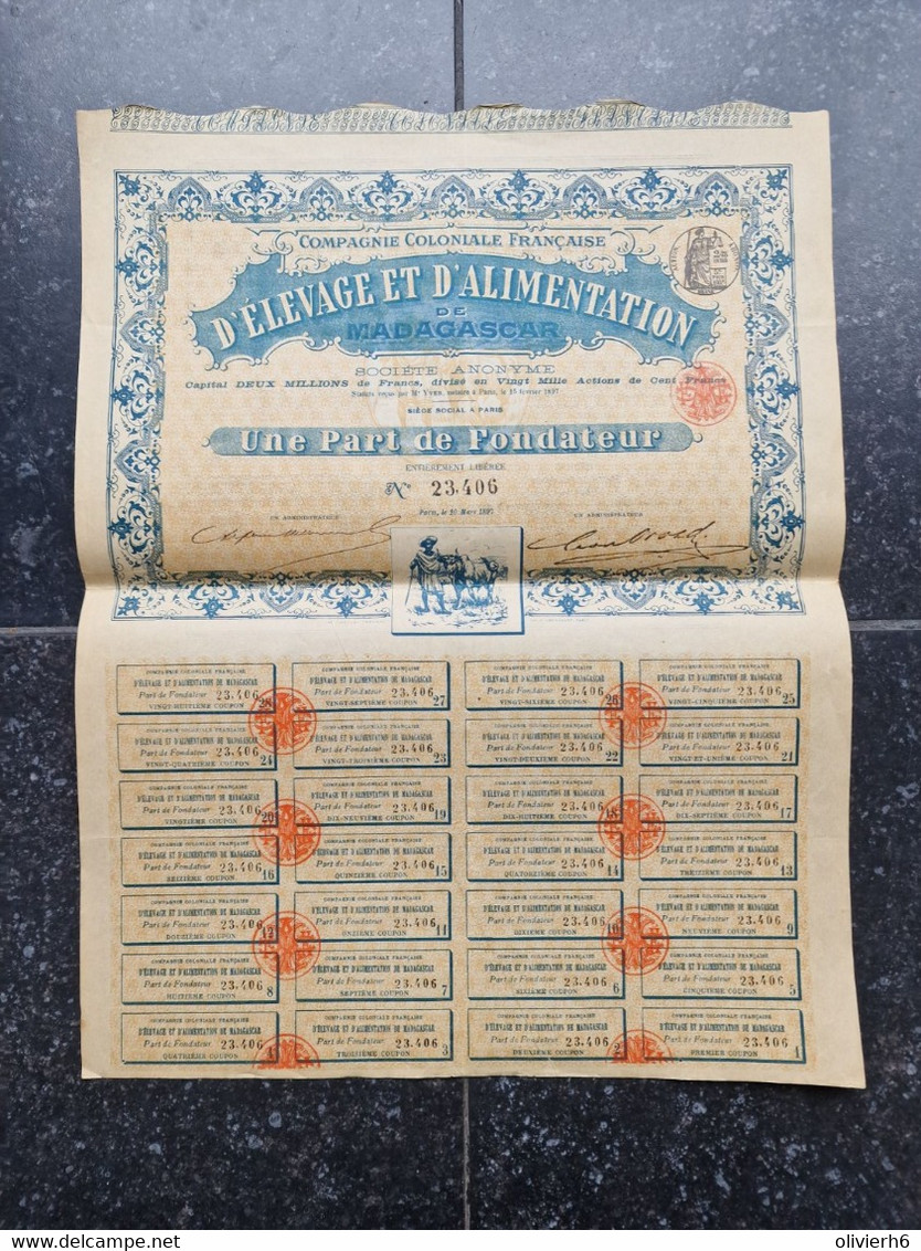 VP LOT 2 ACTIONS (V2302) COMPAGNIE COLONIALE FRANCAISE D' ELEVAGE ET D' ALIMENTATION DE MADAGASCAR (2 Vues) 1897 - Landwirtschaft