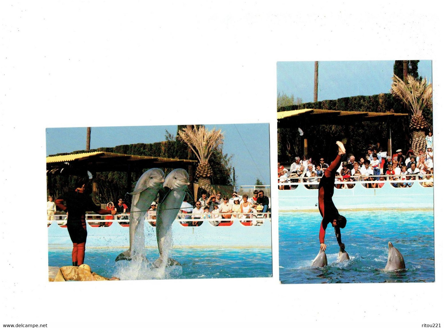 Lot 2 Cpm - 06 - ANTIBES - MARINELAND - Spectacle Dauphin - - Saut Groupé De Dauphins - N°170-171 - Dauphins