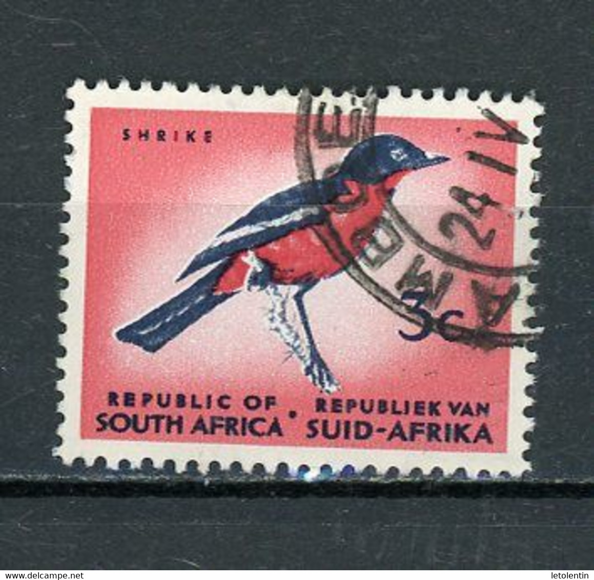 AFRIQUE DU SUD : OISEAU - N° Yvert 323F Obli.  (CADRE PHOSPHO) - Used Stamps