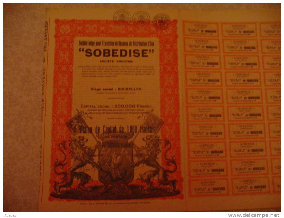 Action SOBEDISE  Société Belge Pour L'entretien De Réseaux De Distribution D'eau 1938. - Acqua