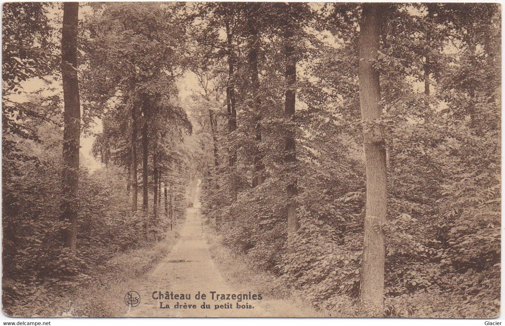 Château De Trazegnies - La Drève Du Petit Bois - Courcelles