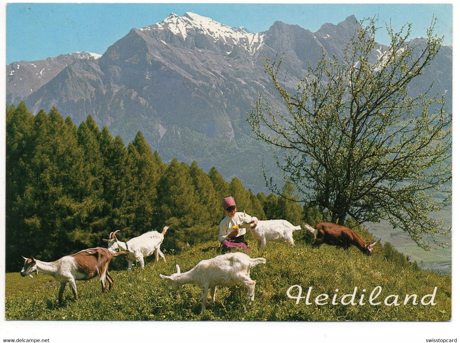 MAIENFELD Und BAD RAGAZ Heidi Mit Ziegen - Maienfeld