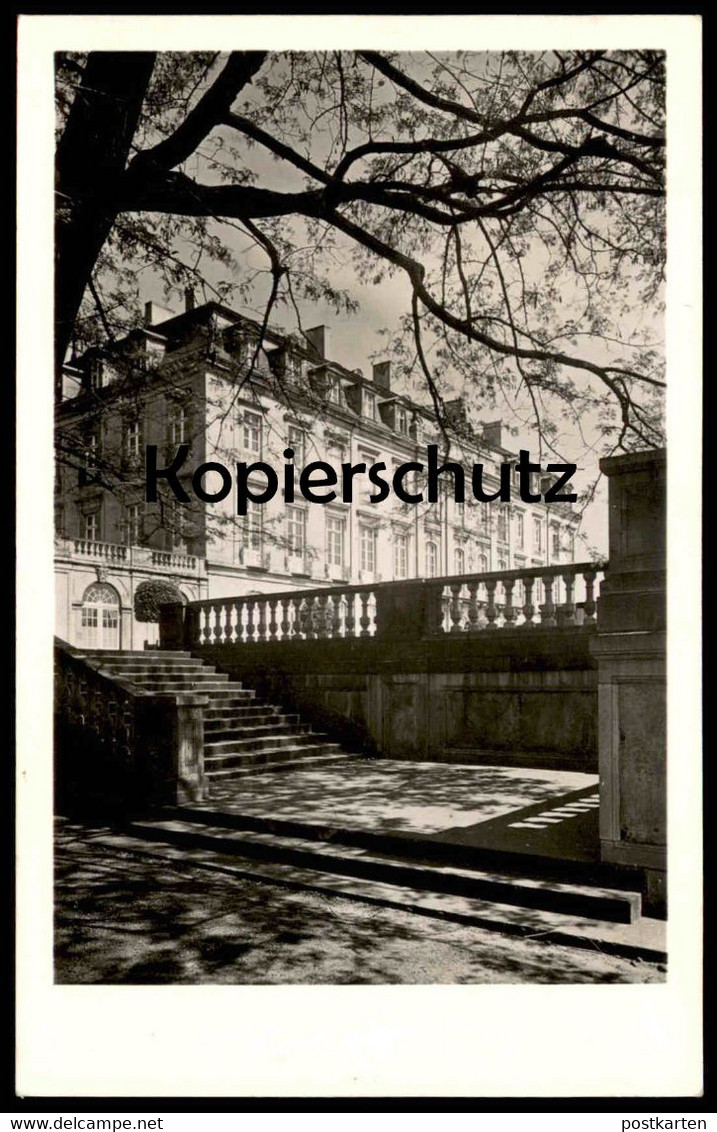 ALTE POSTKARTE BRÜHL SCHLOSS AUGUSTUSBURG FREITREPPE Castle Chateau Ansichtskarte Postcard AK Cpa - Bruehl