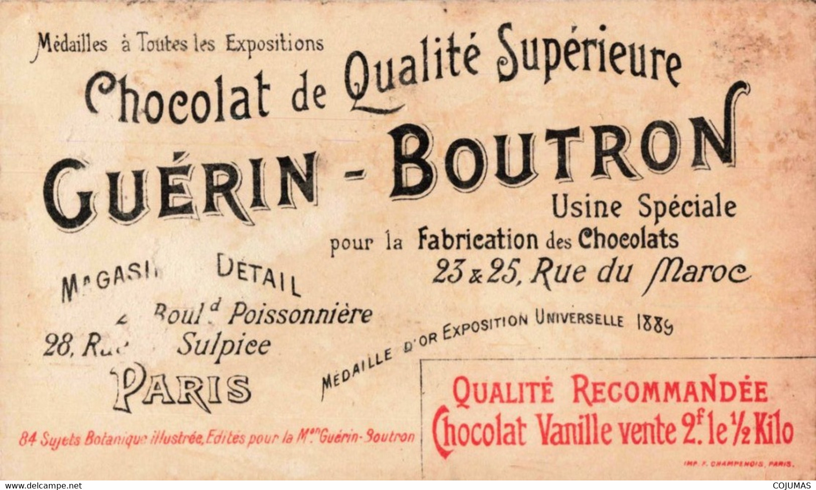 CHROMOS - S11584 - Chocolat Guérin Boutron Botanique Illustrée Epine Vinette Sirop Fébrifuge Env.10,6x6,2 Cm-L2 - Guerin Boutron