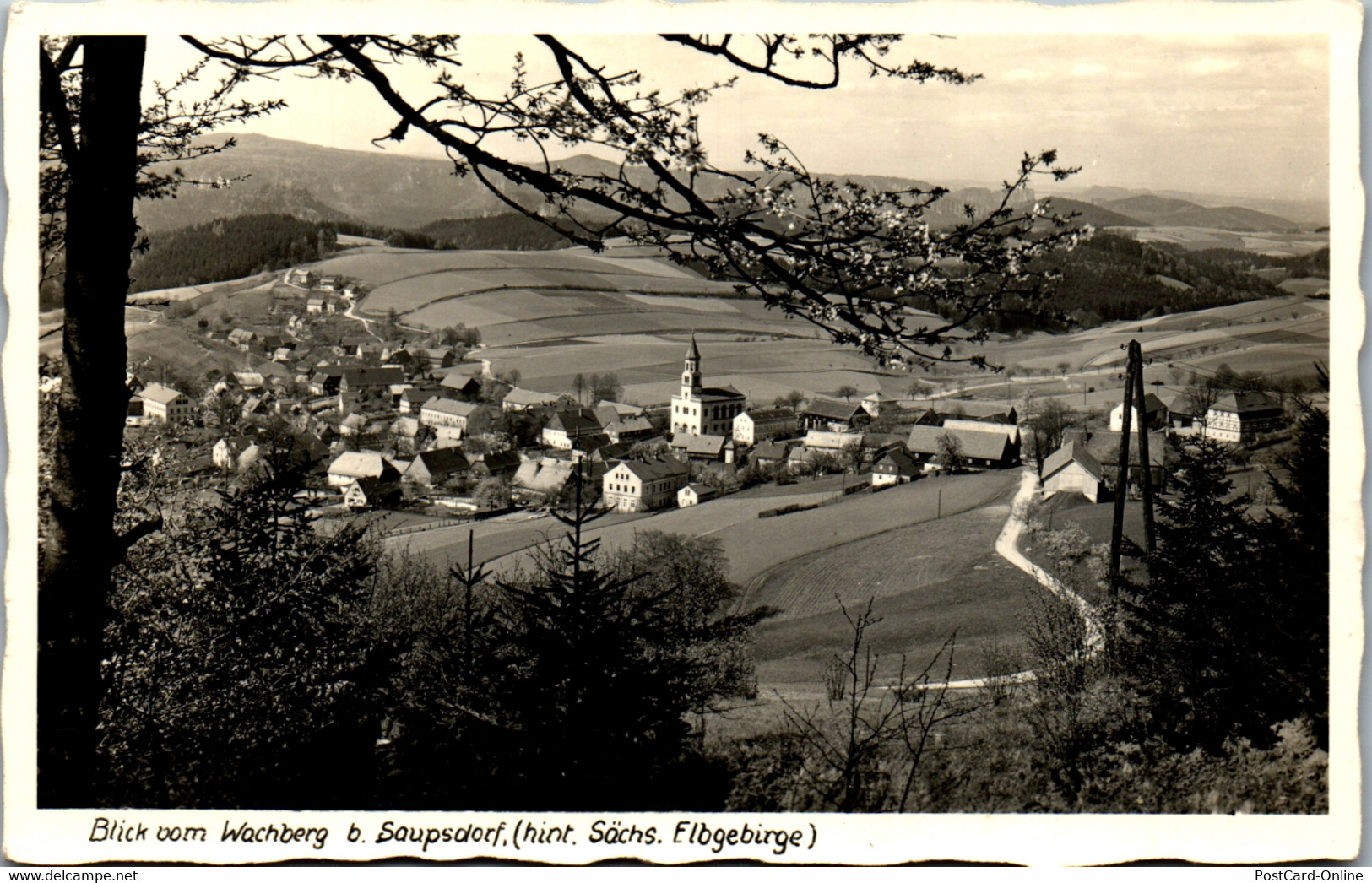 42899 - Deutschland - Saupsdorf , Blick V. Wachberg , Hint. Sächs. Elbgebirge - Nicht Gelaufen - Kirnitzschtal