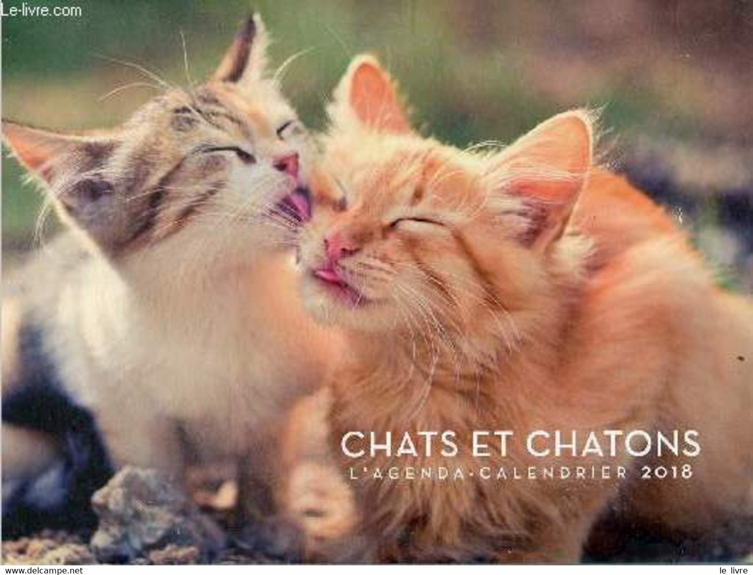 Chats Et Chatons L'agenda-calendrier 2018. - Collectif - 2017 - Agenda Vírgenes