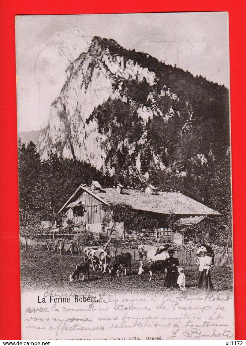 FKL-37 Creux-du-Van, La Ferme Robert. Famille Et Troupeaude Vaches. Dos Simple, Circ. Cachets Noiraigue Et Cernier.1901 - Cernier