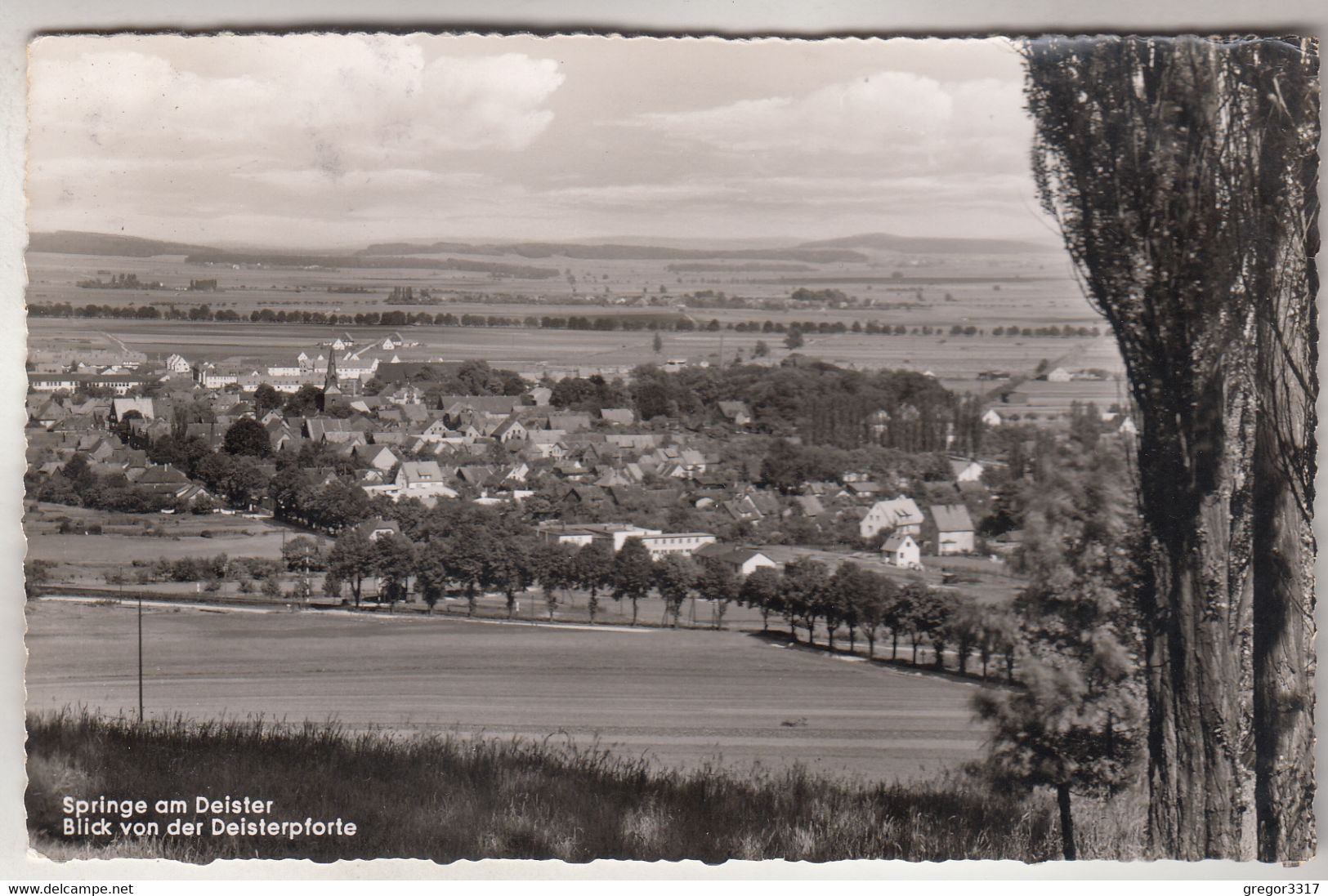 C5751) SPRINGE Am DEISTER - Blick Von Der Deisterpforte 1957 - Springe