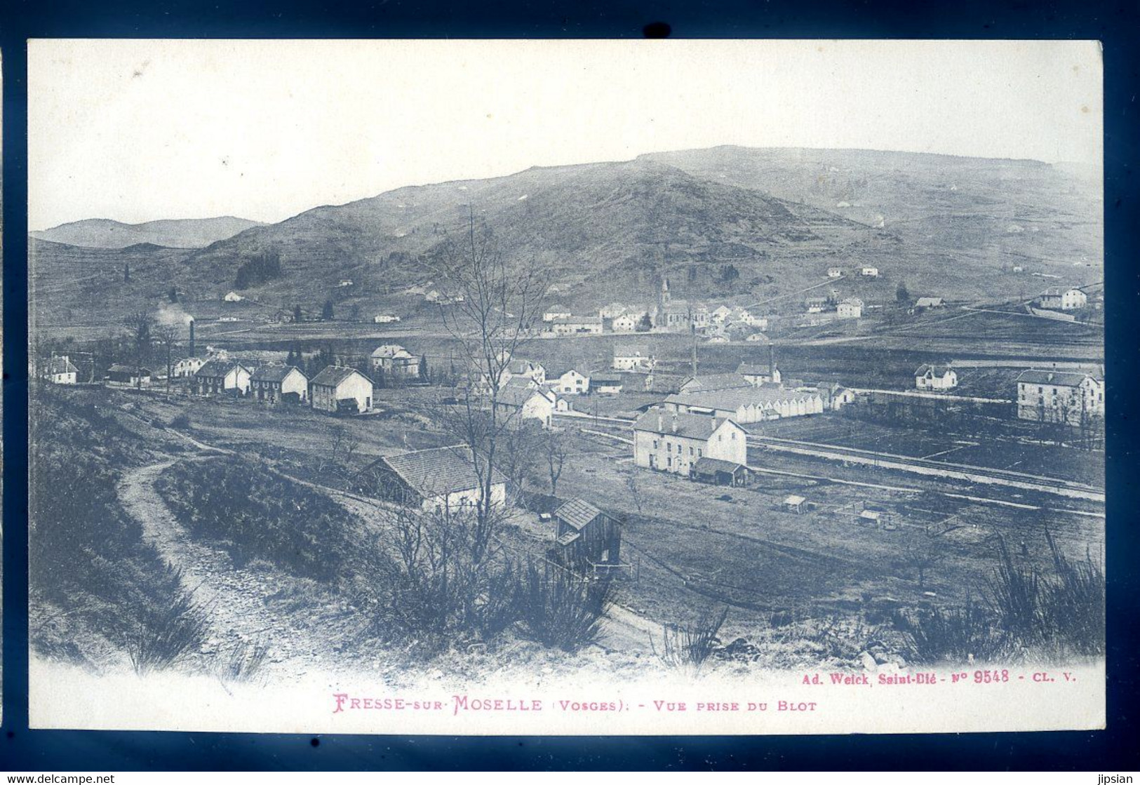 Cpa Du 88  Fresse Sur Moselle -- Vue Prise Du Blot  LANR39 - Fresse Sur Moselle