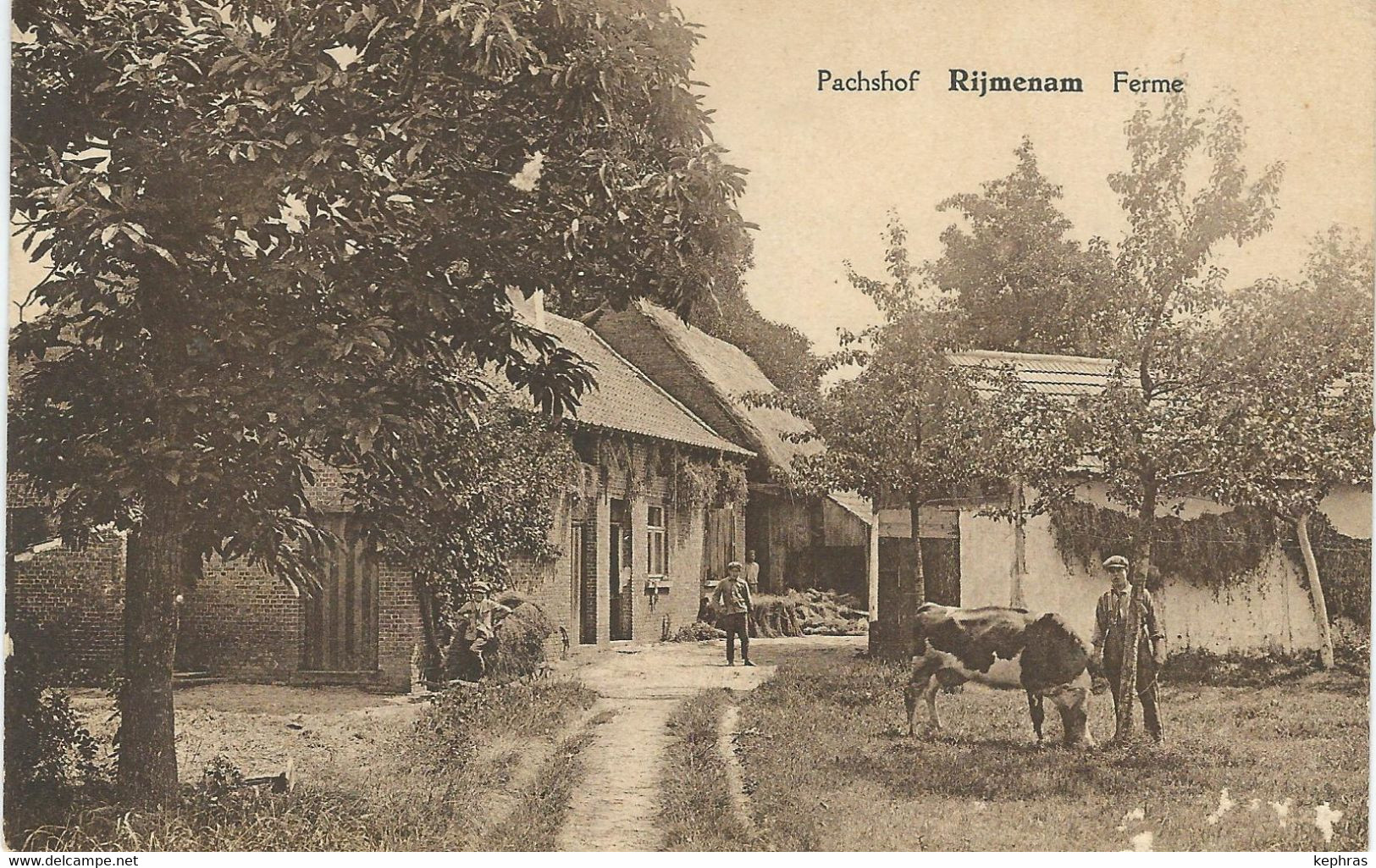 RIJMENAM : Pachshof - Ferme RARE CPA - Bonheiden