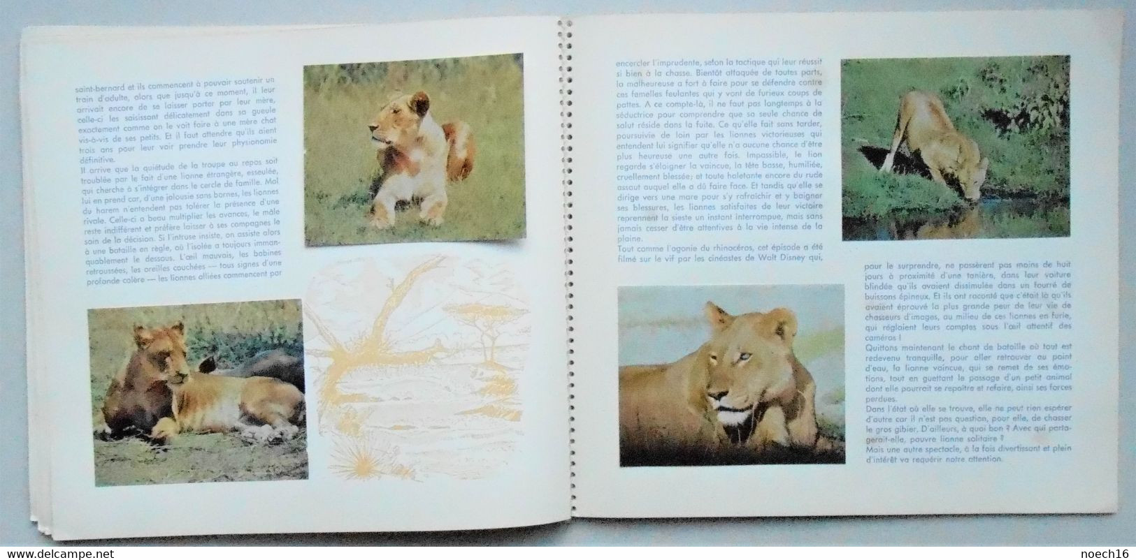 2 Albums Chromos Complets Walt Disney - Savonnerie Couvreur Bruxelles / Le désert vivant, Les lions d'Afrique
