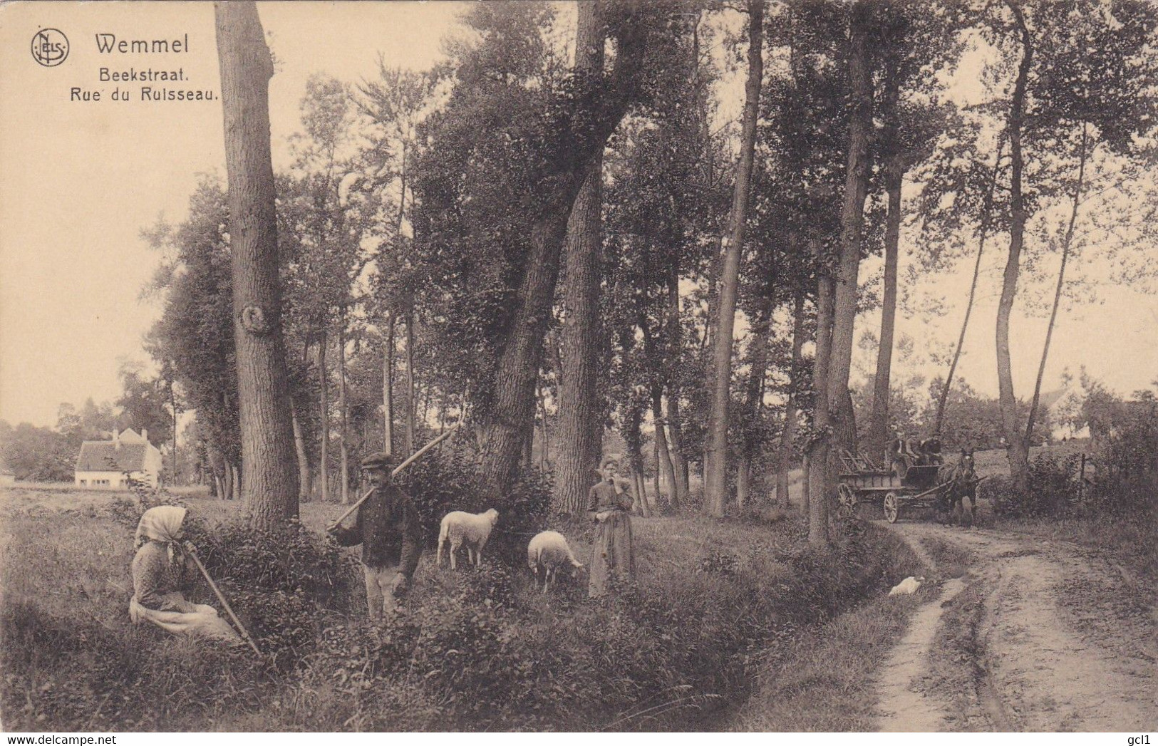 Wemmel -Beekstraat - Wemmel