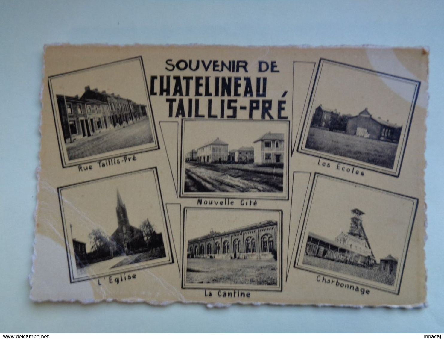102-11-163            CHATELINEAU  TAILLIS-PRE     Souvenir De    ( Teinte Ocre-jaune ) - Châtelet