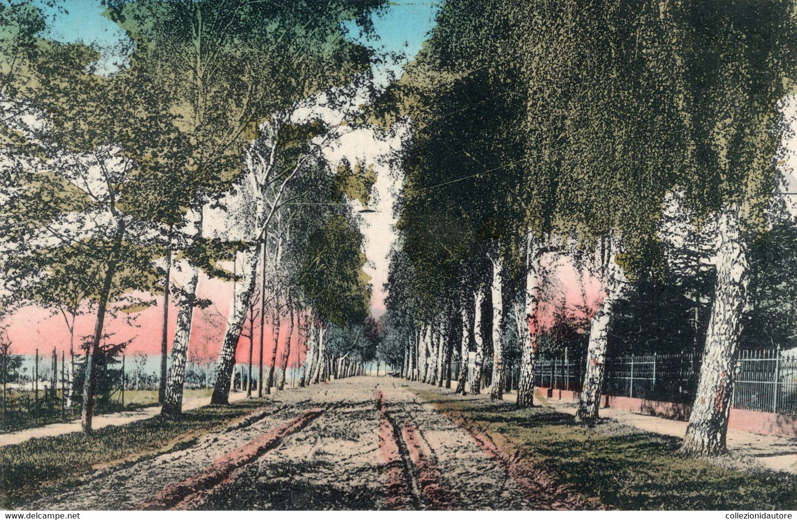 LEHNITZ - BIRKEN-ALLEE - CARTOLINA FP SPEDITA NEL 1919 - Lehnitz