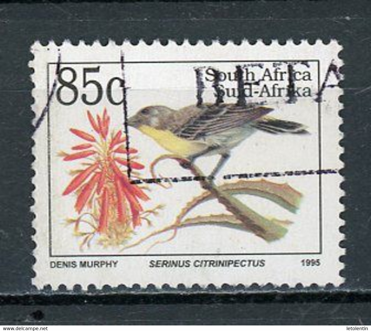 AFRIQUE DU SUD : FAUNE - N° Yvert 885 Obli. (NOM EN LATIN) - Used Stamps