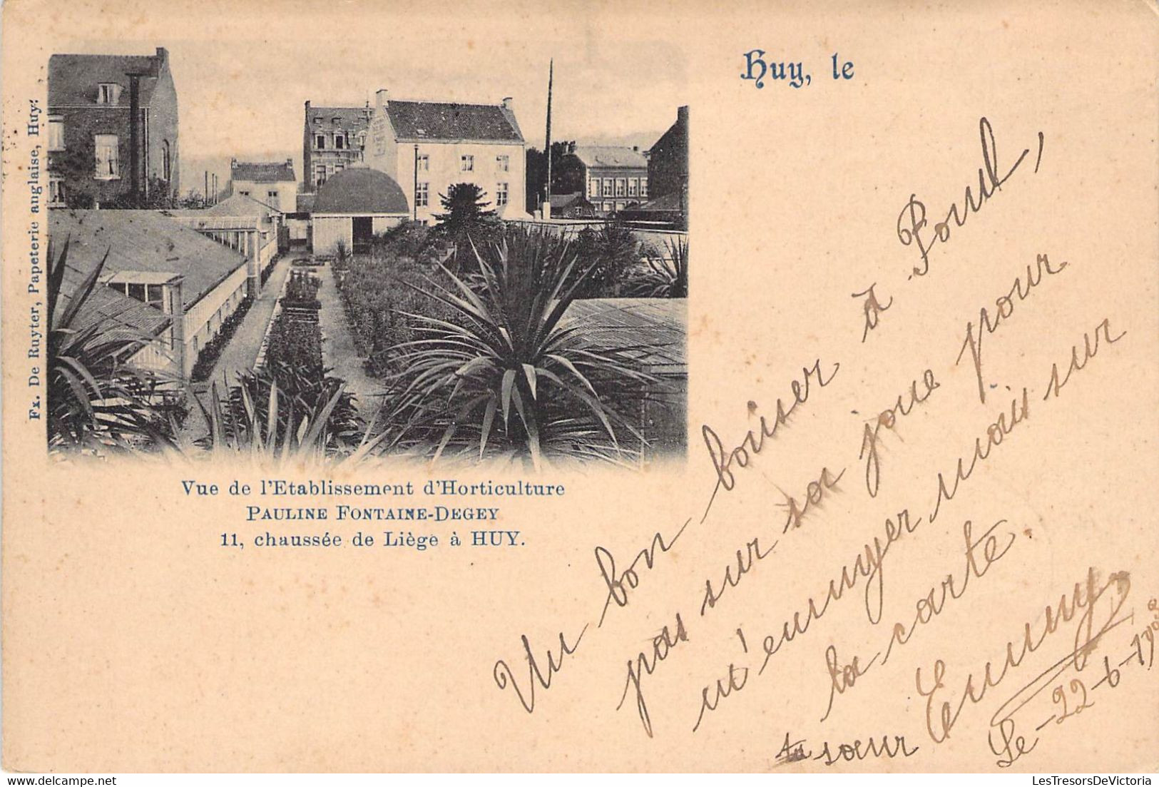 Belgique - Huy - Vue De L'établissement D'horticulture Pauline Fontaine Degey - Edit. De Ruyter- Carte Postale Ancienne - Hoei